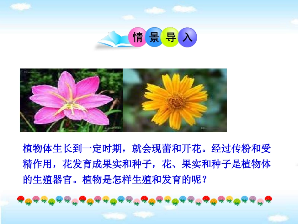 《生殖器官的生长》PPT课件[北师大版七年级生物上册]_第2页