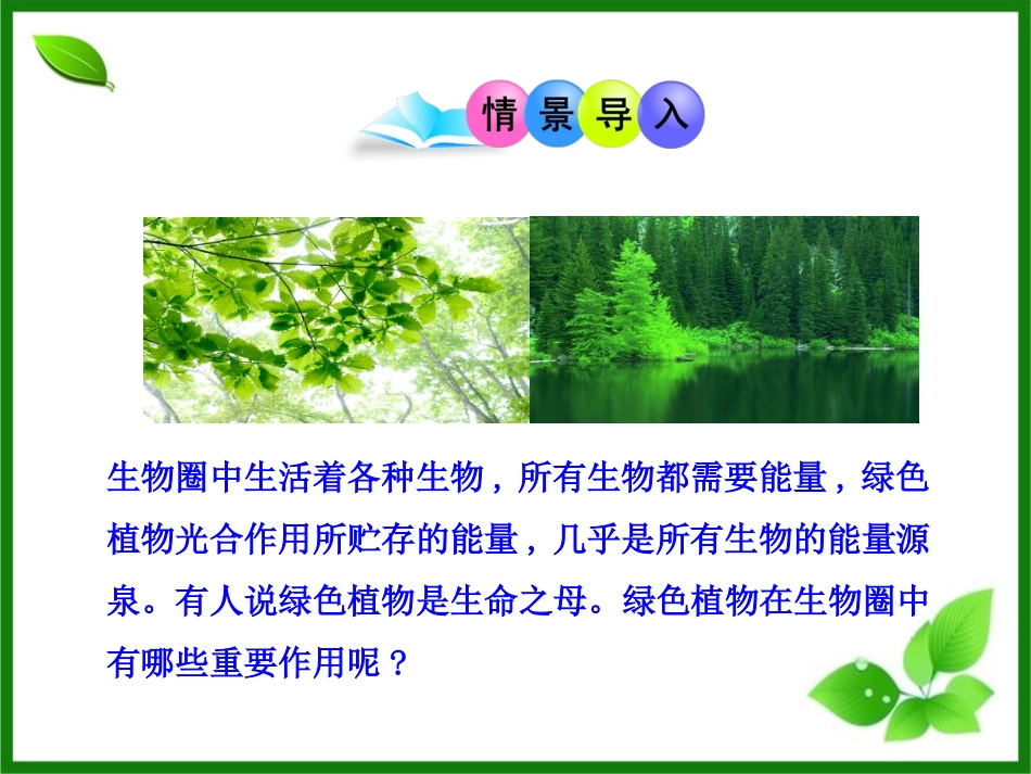 《绿色植物在生物圈中的作用》PPT课件[北师大版七年级生物]_第2页