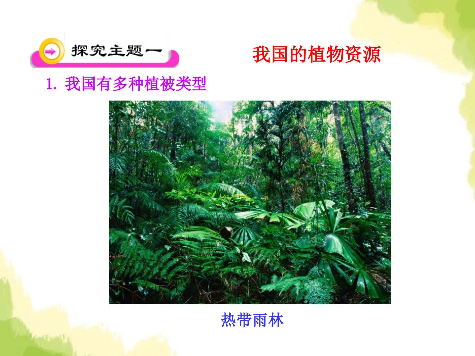 《我国的植物资源》PPT课件[北师大版七年级生物上册]_第3页