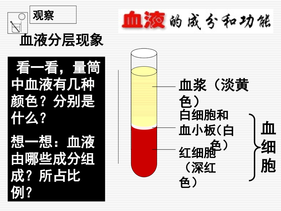 《血液》PPT课件[北师大版七年级生物下册]_第3页