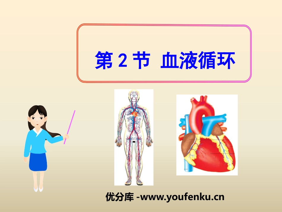 《血液循环》PPT课件[北师大版七年级生物下册]_第1页
