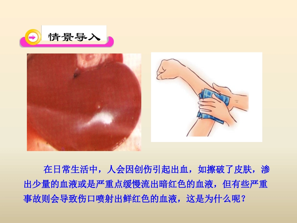 《血液循环》PPT课件[北师大版七年级生物下册]_第2页