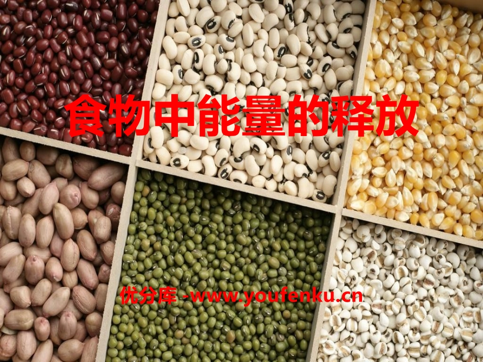 《食物中能量的释放》PPT课件[北师大版七年级生物下册]_第1页