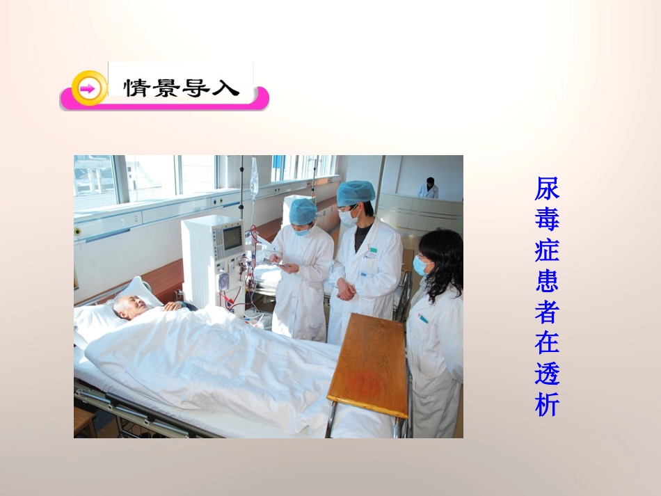 《尿的形成与排出》PPT课件[北师大版七年级生物下册]_第2页
