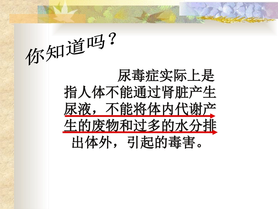 《尿的形成与排出》PPT课件[北师大版七年级生物下册]_第2页