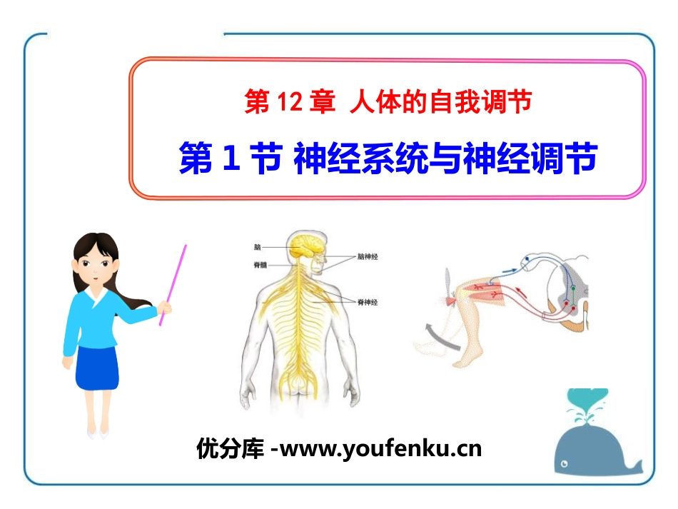 《神经系统与神经调节》PPT课件[北师大版七年级生物下册]_第1页
