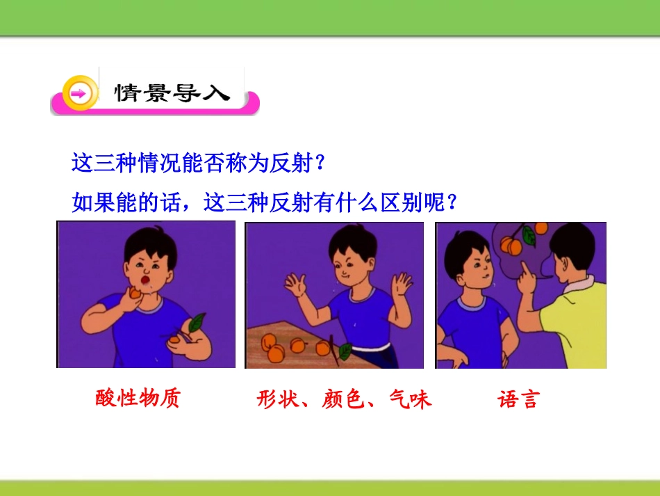 《神经系统与神经调节》PPT课件[北师大版七年级生物下册]_第2页