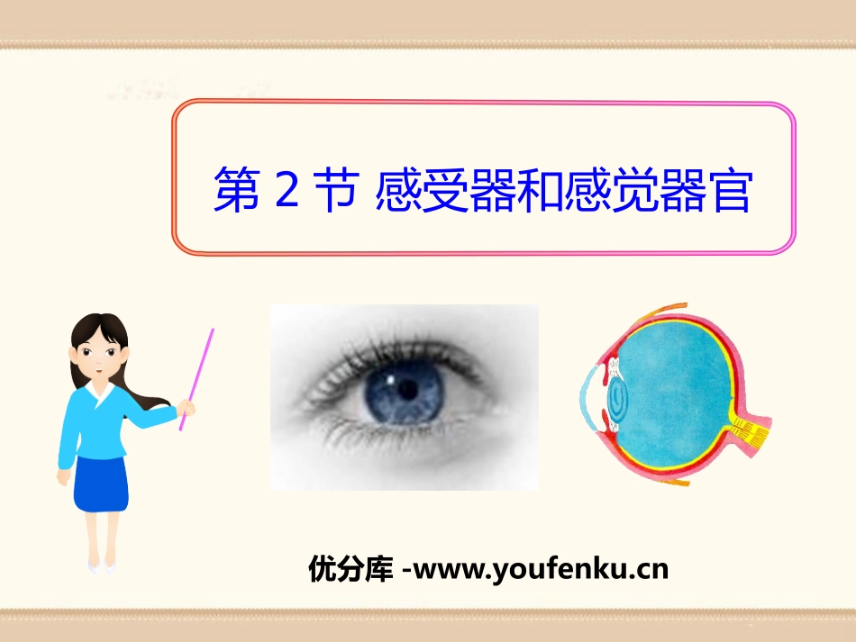 《感受器和感觉器官》PPT课件[北师大版七年级生物下册]_第1页