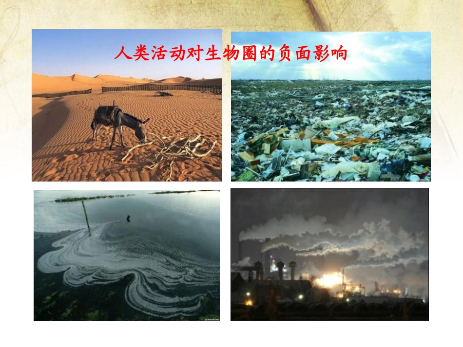 《人类活动对生物圈的影响》PPT课件[北师大版七年级生物]_第2页