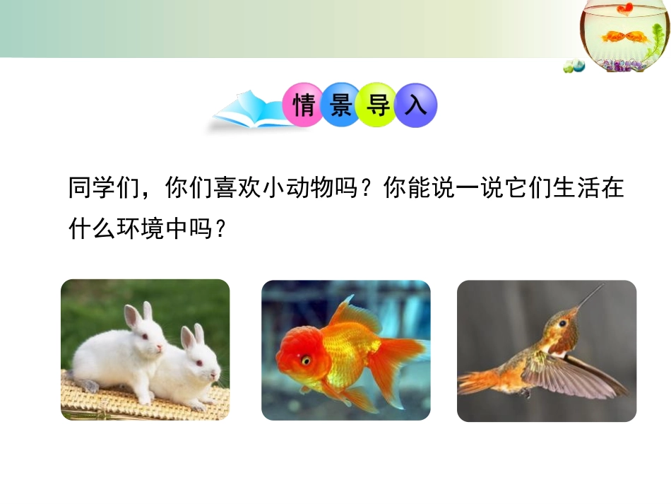 《动物运动的方式》PPT课件[北师大版八年级生物上册]_第2页