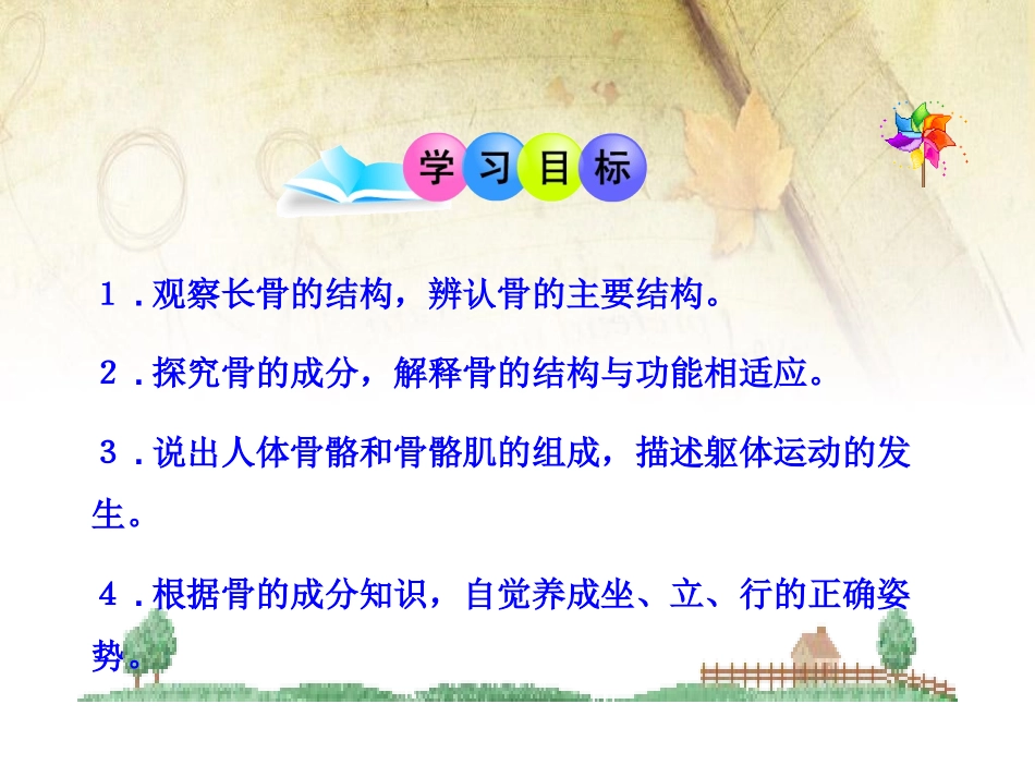 《动物运动的形成》PPT课件[北师大版八年级生物上册]_第3页