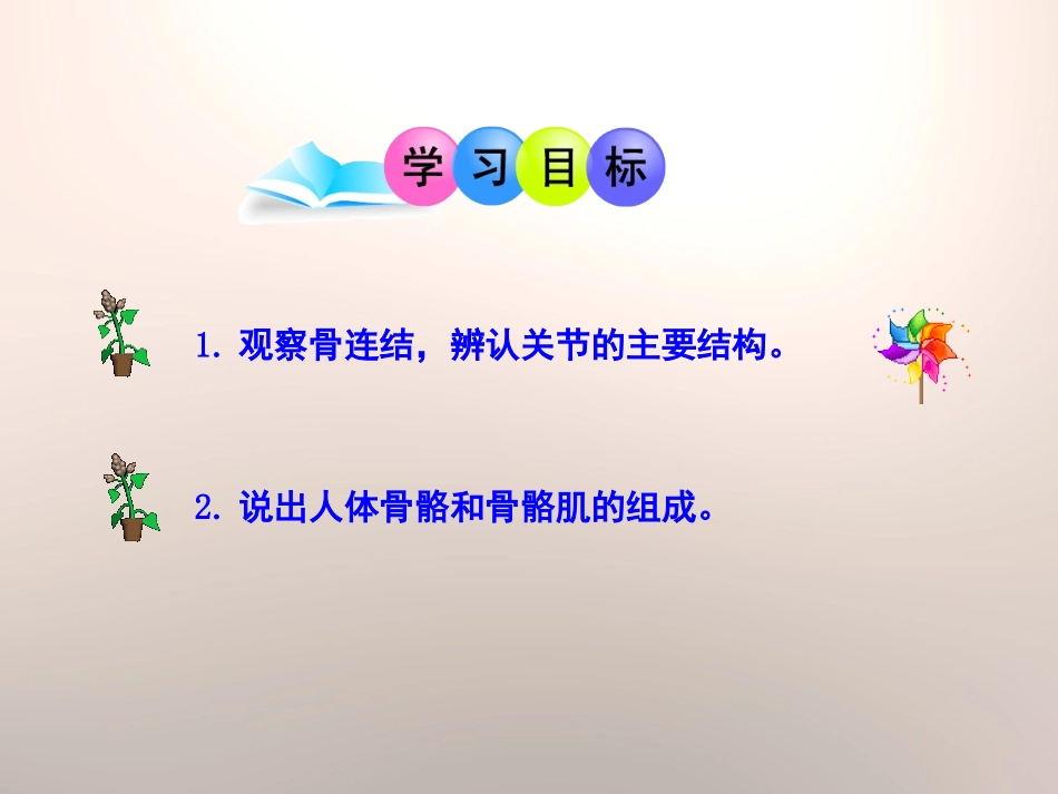 《动物运动的形成》PPT课件[北师大版八年级生物上册]_第2页