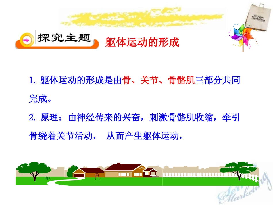 《动物运动的形成》PPT课件[北师大版八年级生物上册]_第3页
