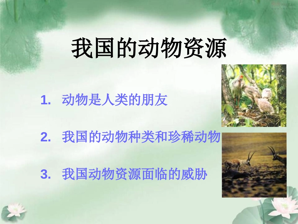 《我国的动物资源及保护》PPT课件[北师大版八年级生物上册]_第2页