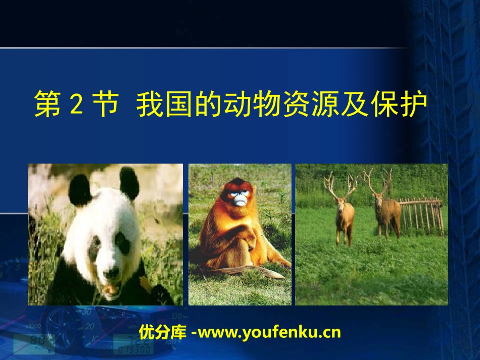 《我国的动物资源及保护》PPT课件[北师大版八年级生物上册]_第1页