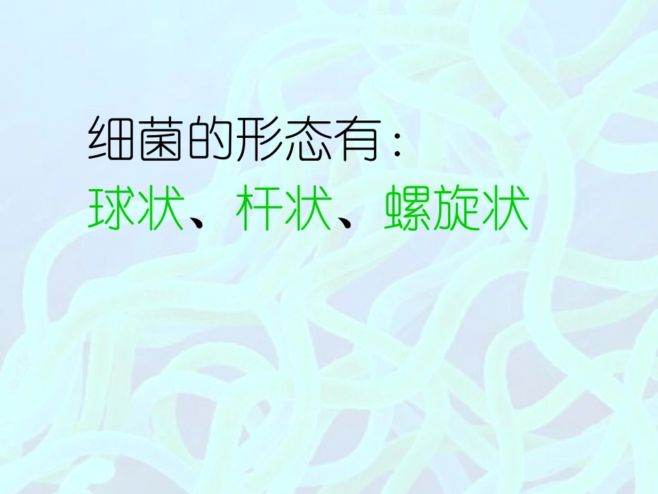 《微生物在生物圈中的作用》PPT课件[北师大版八年级生物]_第3页