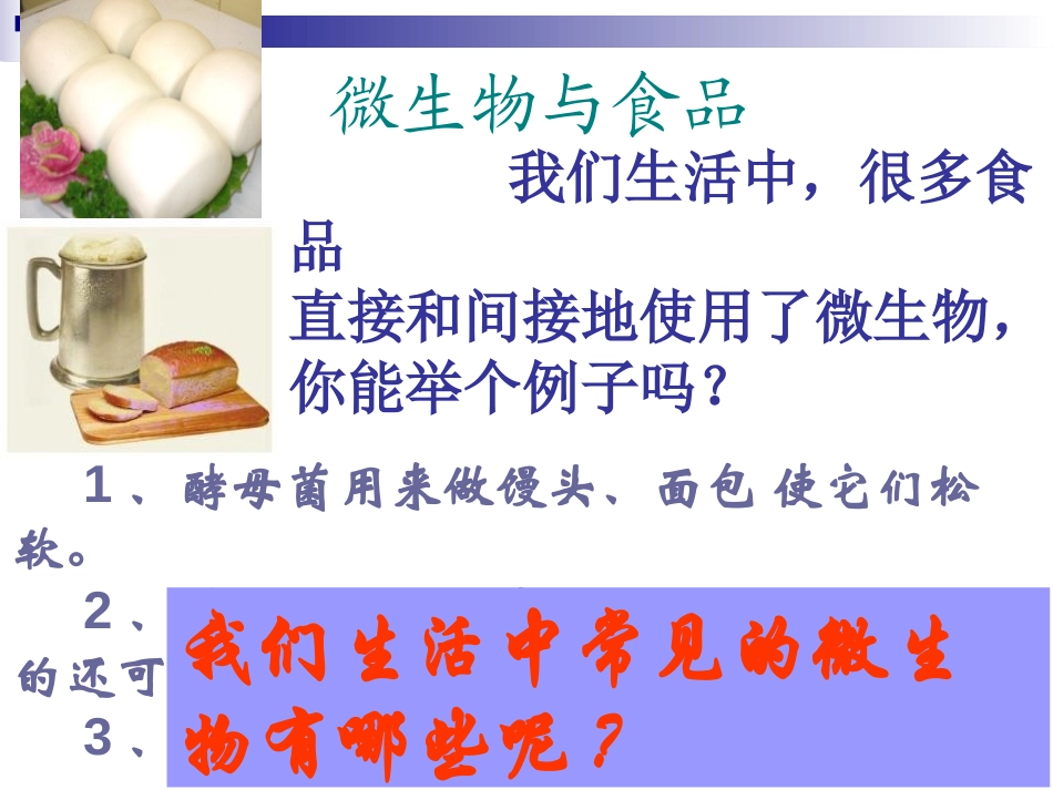 《微生物与人类的关系》PPT课件[北师大版八年级生物上册]_第2页
