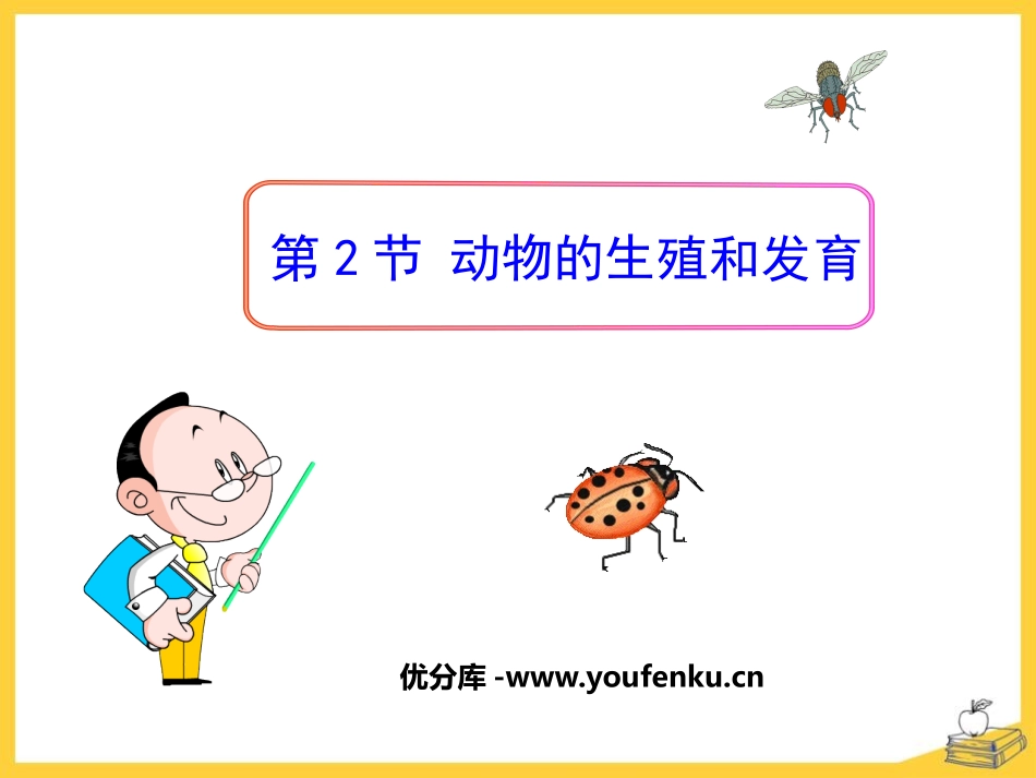 《动物的生殖和发育》PPT课件[北师大版八年级生物上册]_第1页