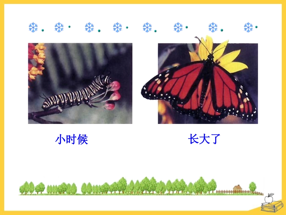 《动物的生殖和发育》PPT课件[北师大版八年级生物上册]_第3页
