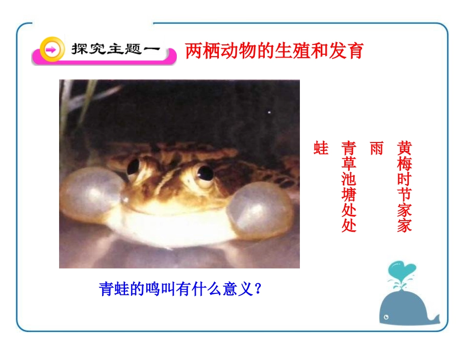《动物的生殖和发育》PPT课件[北师大版八年级生物上册]_第2页