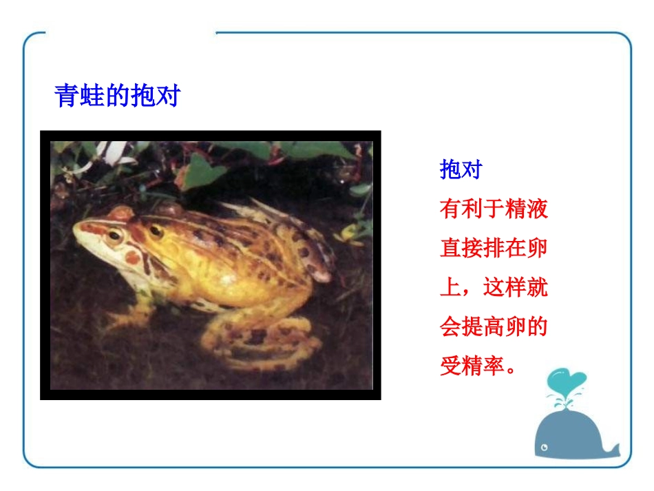 《动物的生殖和发育》PPT课件[北师大版八年级生物上册]_第3页