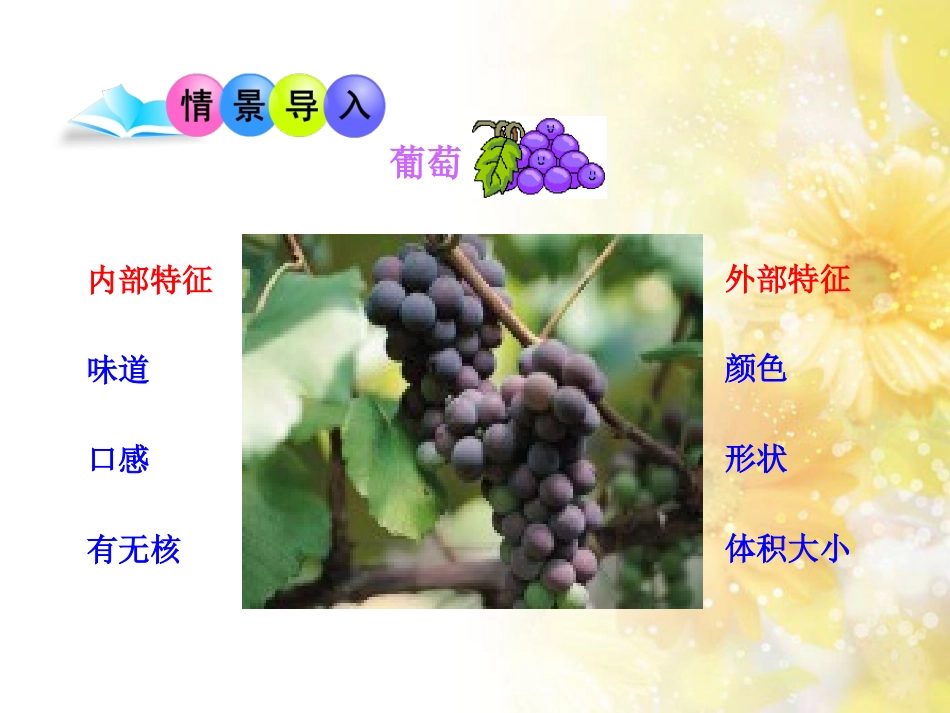 《遗传和变异现象》PPT课件[北师大版八年级生物上册]_第2页