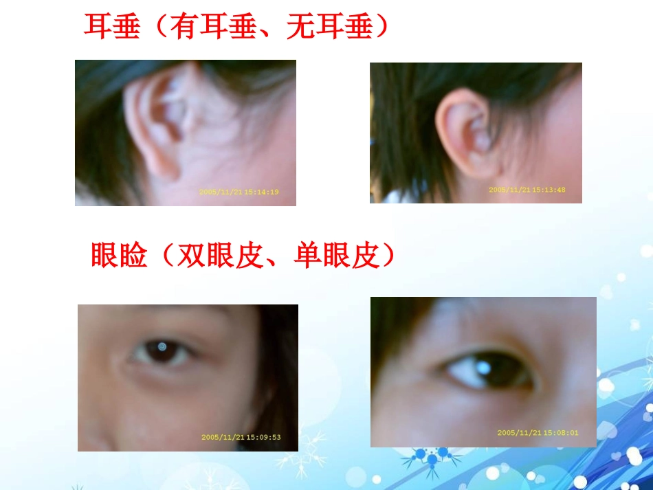 《遗传和变异现象》PPT课件[北师大版八年级生物上册]_第3页