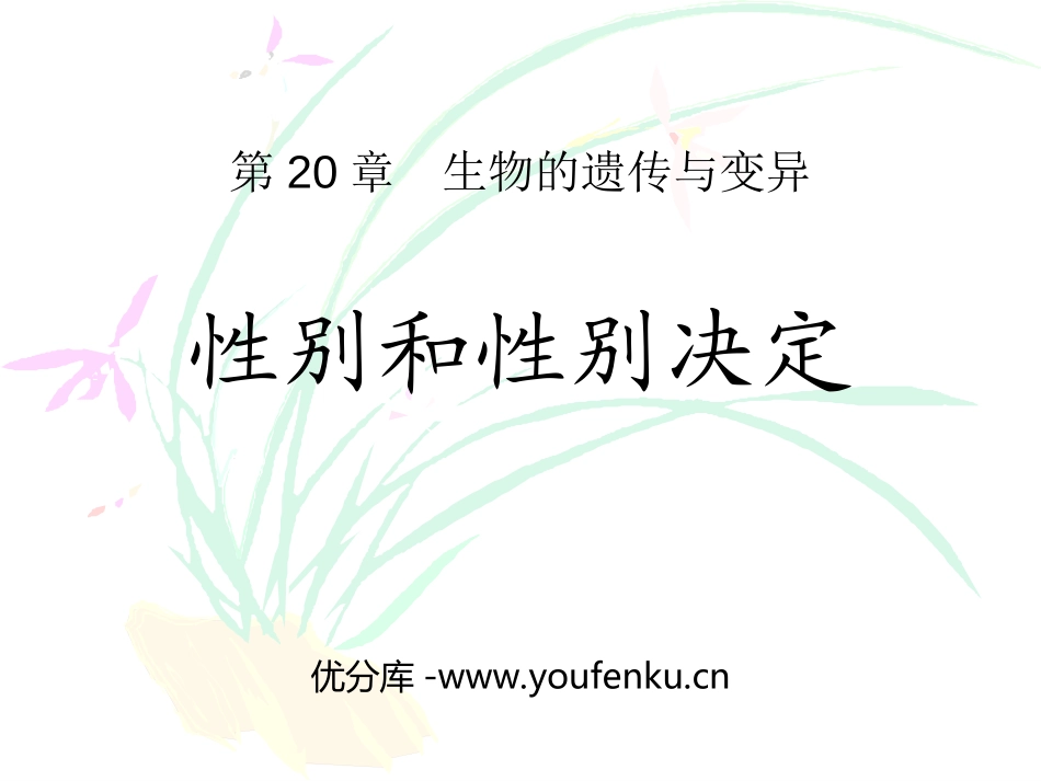 《性别和性别决定》PPT课件[北师大版八年级生物上册]_第1页