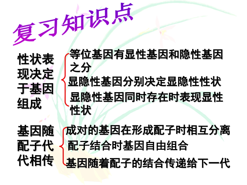 《性别和性别决定》PPT课件[北师大版八年级生物上册]_第2页