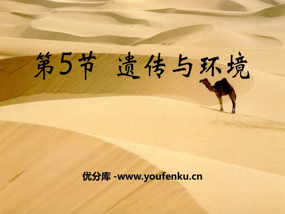 《遗传与环境》PPT课件[北师大版八年级生物上册]_第1页