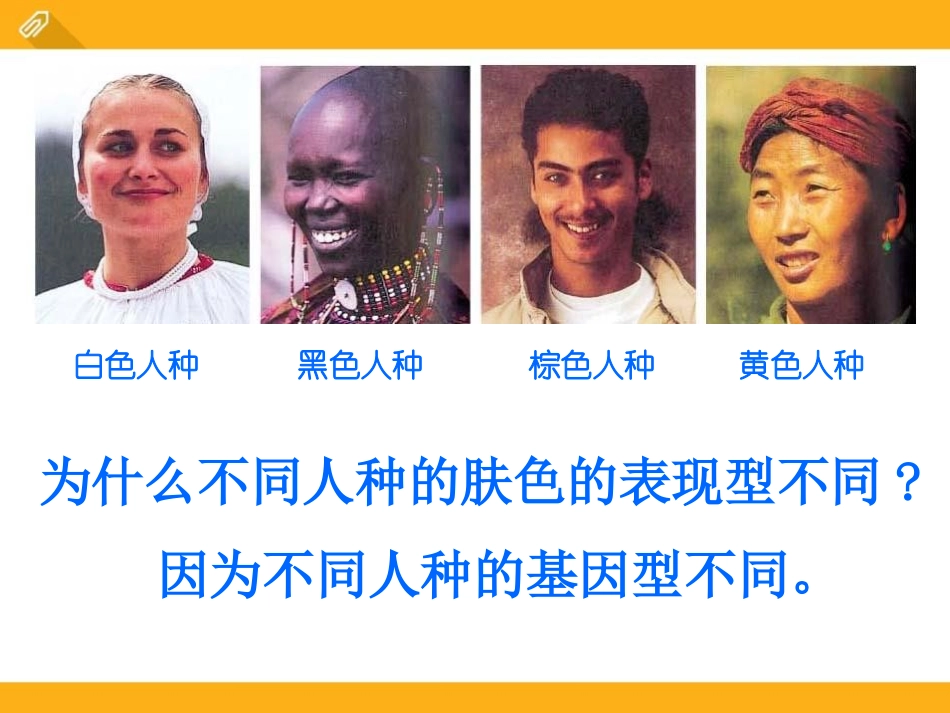 《遗传与环境》PPT课件[北师大版八年级生物上册]_第3页