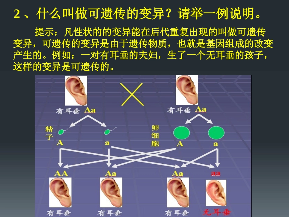 《遗传病和人类健康》PPT课件[北师大版八年级生物上册]_第3页