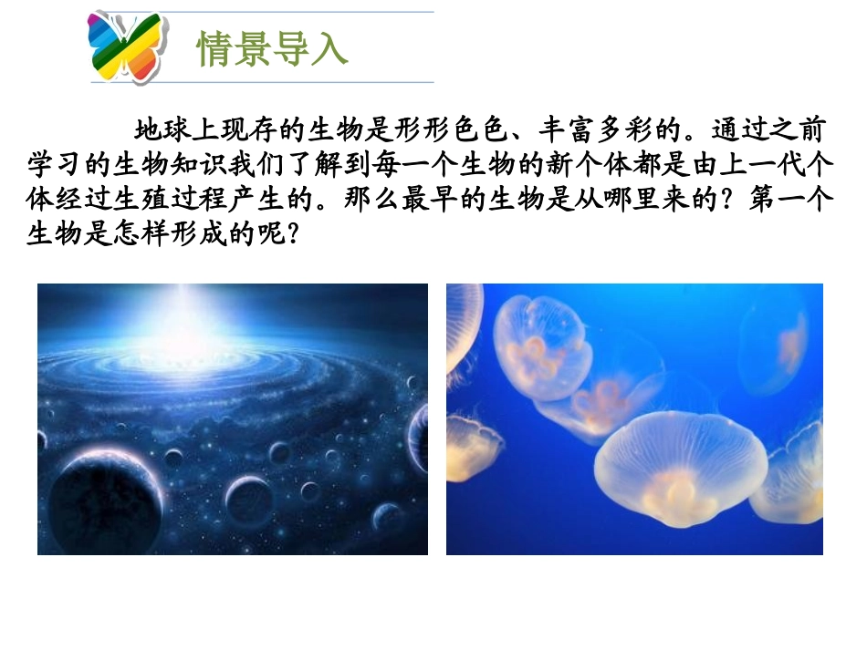 《生命的起源》PPT课件[北师大版八年级生物下册]_第2页