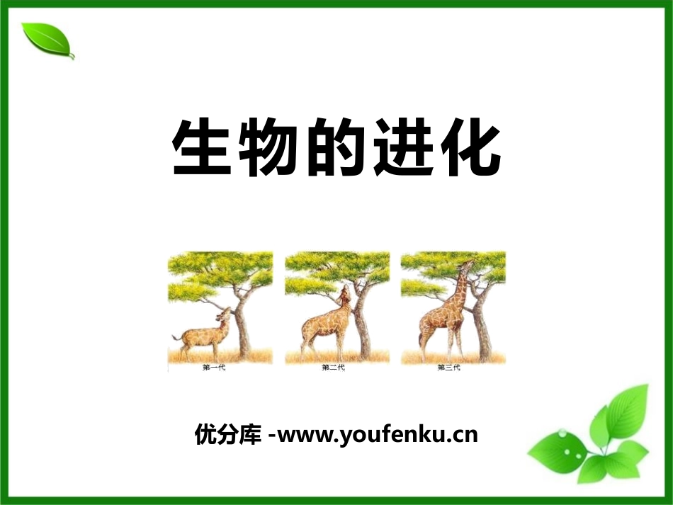 《生物的进化》PPT课件[北师大版八年级生物下册]_第1页