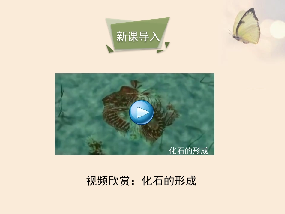 《生物的进化》PPT课件[北师大版八年级生物下册]_第3页
