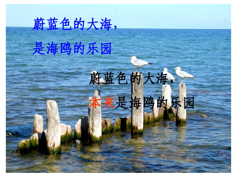《和我们一样享受春天》PPT课件[部编版四年级语文下册]_第2页