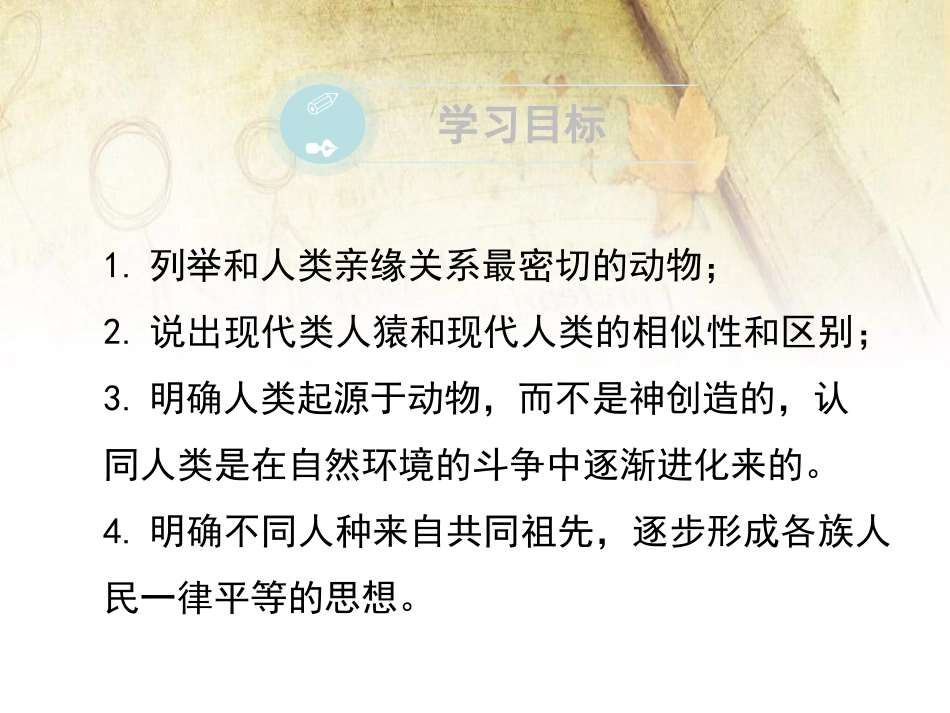 《人类的起源和进化》PPT课件[北师大版八年级生物下册]_第3页