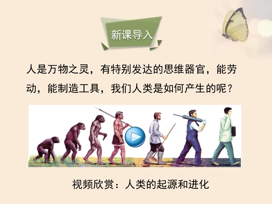 《人类的起源和进化》PPT课件[北师大版八年级生物下册]_第3页