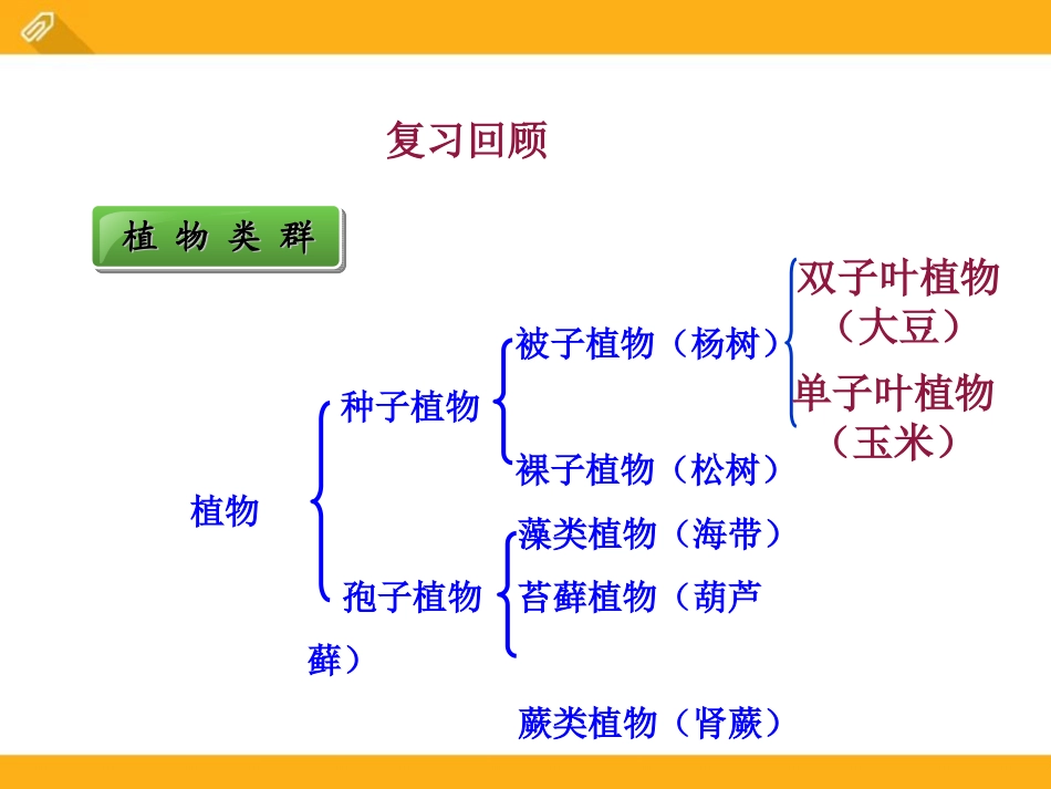 《生物的分类》PPT课件[北师大版八年级生物下册]_第3页