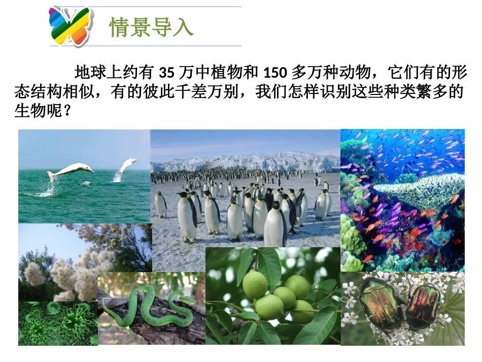 《生物的分类》PPT课件[北师大版八年级生物下册]_第2页