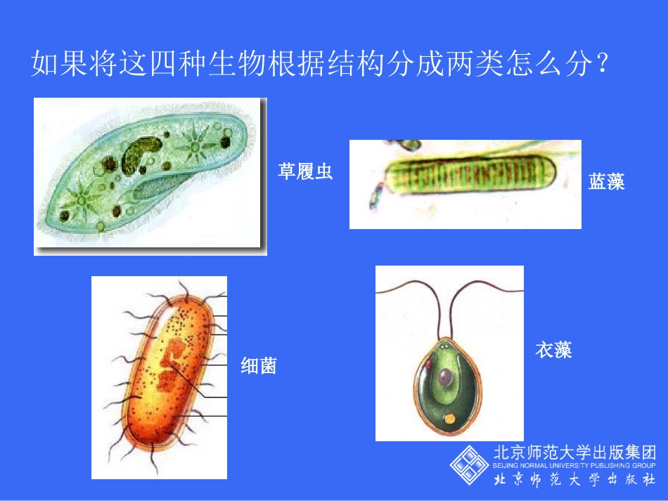 《原生生物的主要类群》PPT课件[北师大版八年级生物下册]_第2页