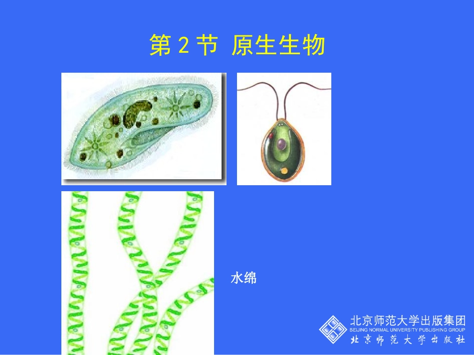 《原生生物的主要类群》PPT课件[北师大版八年级生物下册]_第3页