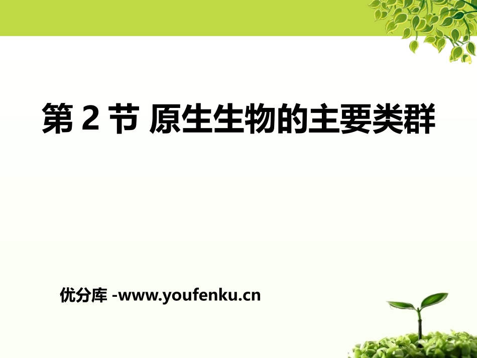 《原生生物的主要类群》PPT课件[北师大版八年级生物下册]_第1页