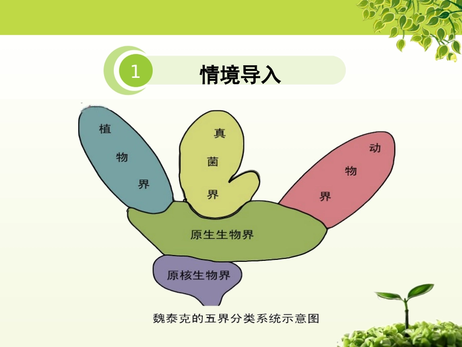 《原生生物的主要类群》PPT课件[北师大版八年级生物下册]_第2页