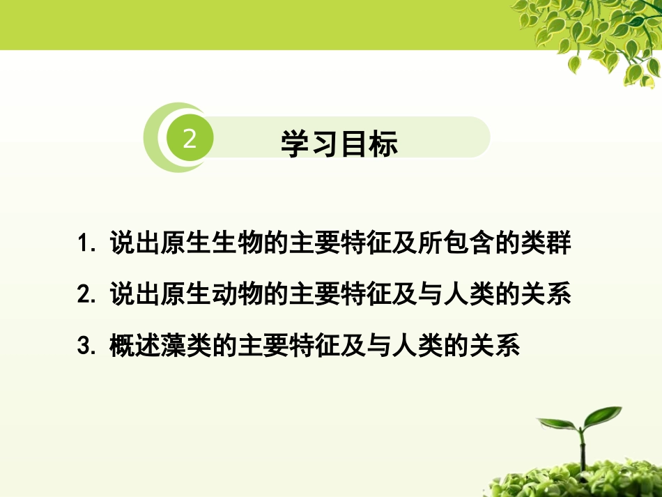 《原生生物的主要类群》PPT课件[北师大版八年级生物下册]_第3页