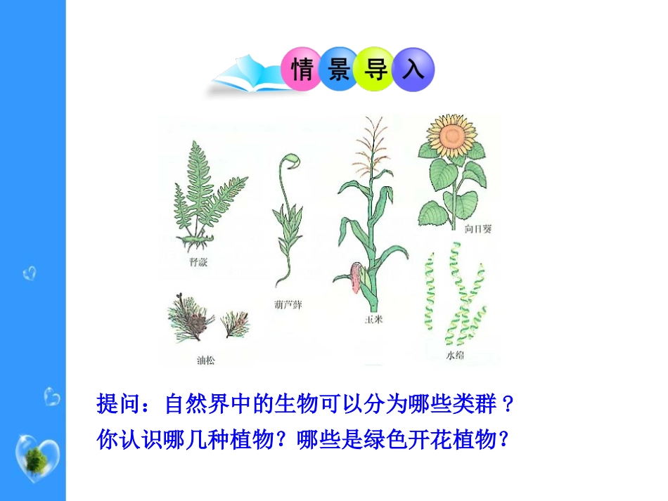 《植物的主要类群》PPT课件[北师大版八年级生物下册]_第1页