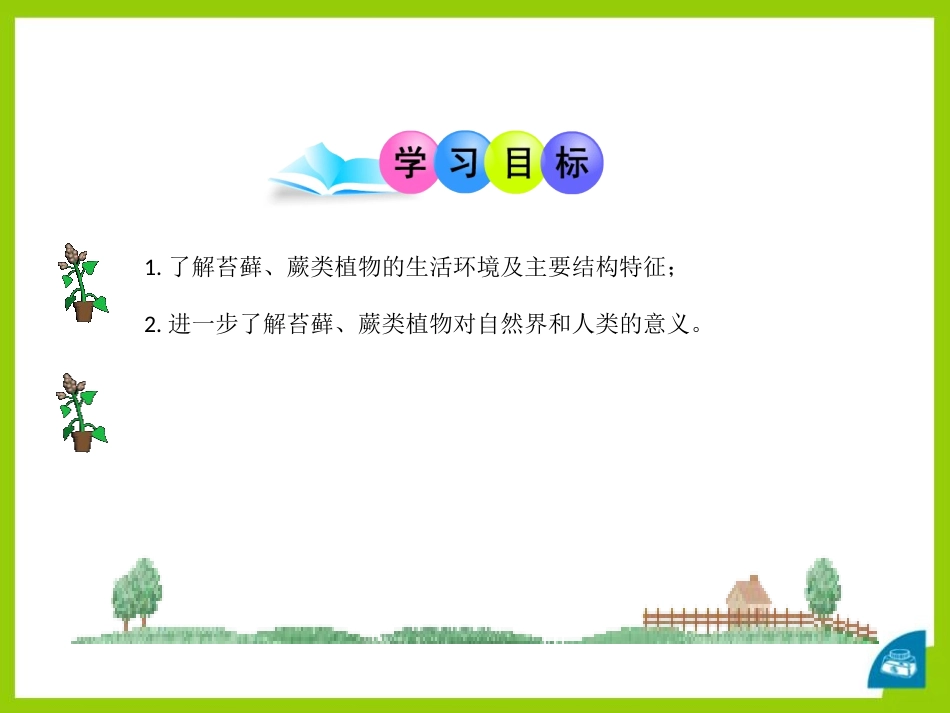 《植物的主要类群》PPT课件[北师大版八年级生物下册]_第3页