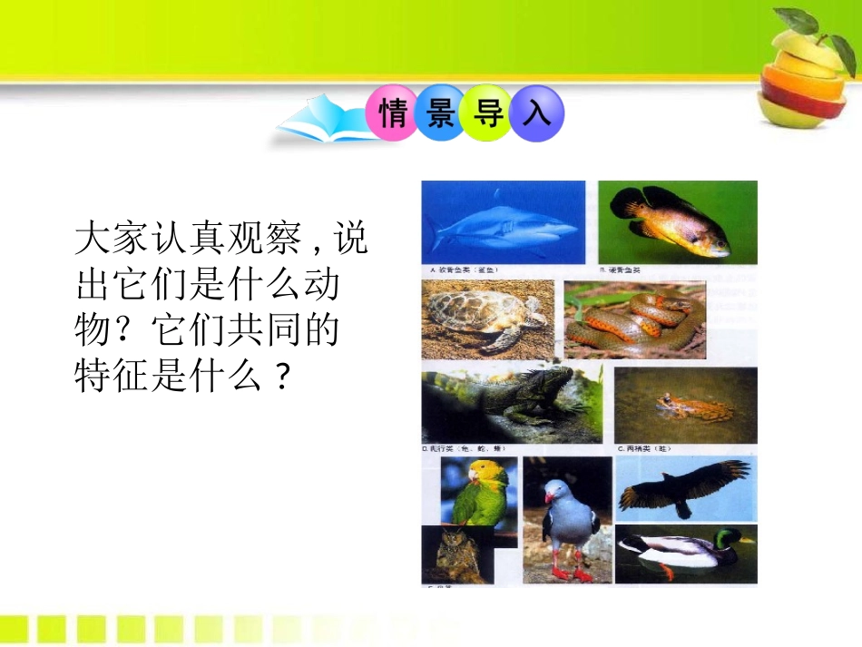 《动物的主要类群》PPT课件[北师大版八年级生物下册]_第2页