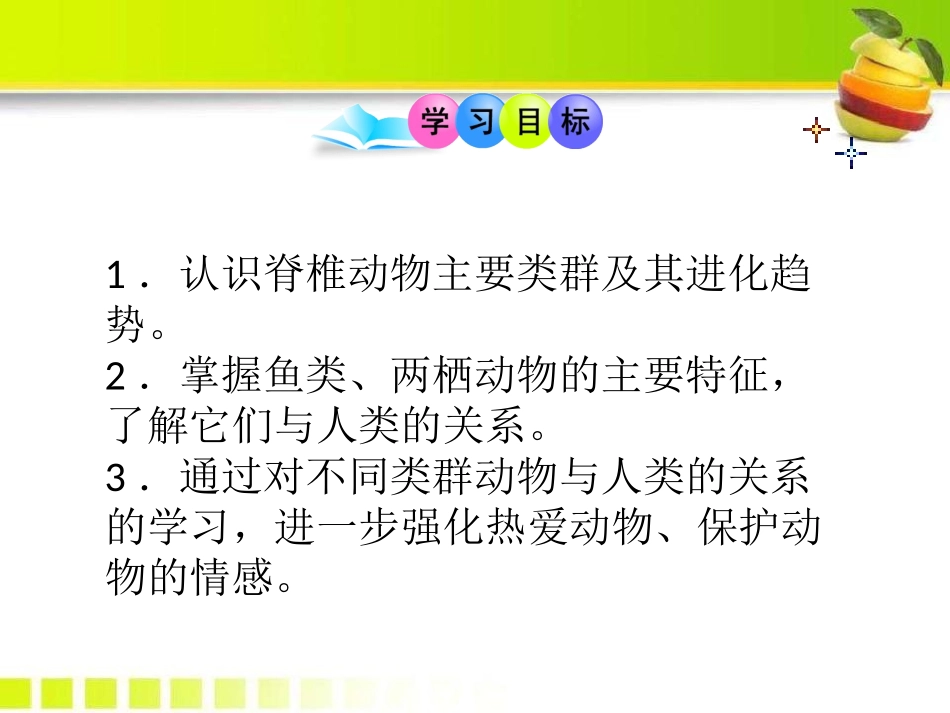 《动物的主要类群》PPT课件[北师大版八年级生物下册]_第3页