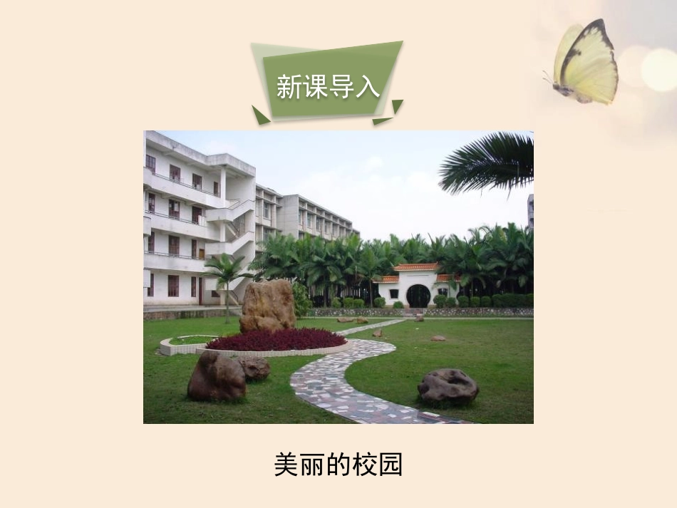 《生态系统概述》PPT课件[北师大版八年级生物下册]_第3页